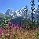 Spacious 1br - Ski-in, Ski-out - By Appartamento *