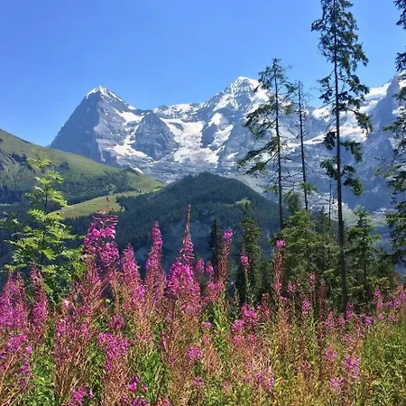 Spacious 1br - Ski-in, Ski-out - By Apartmán *